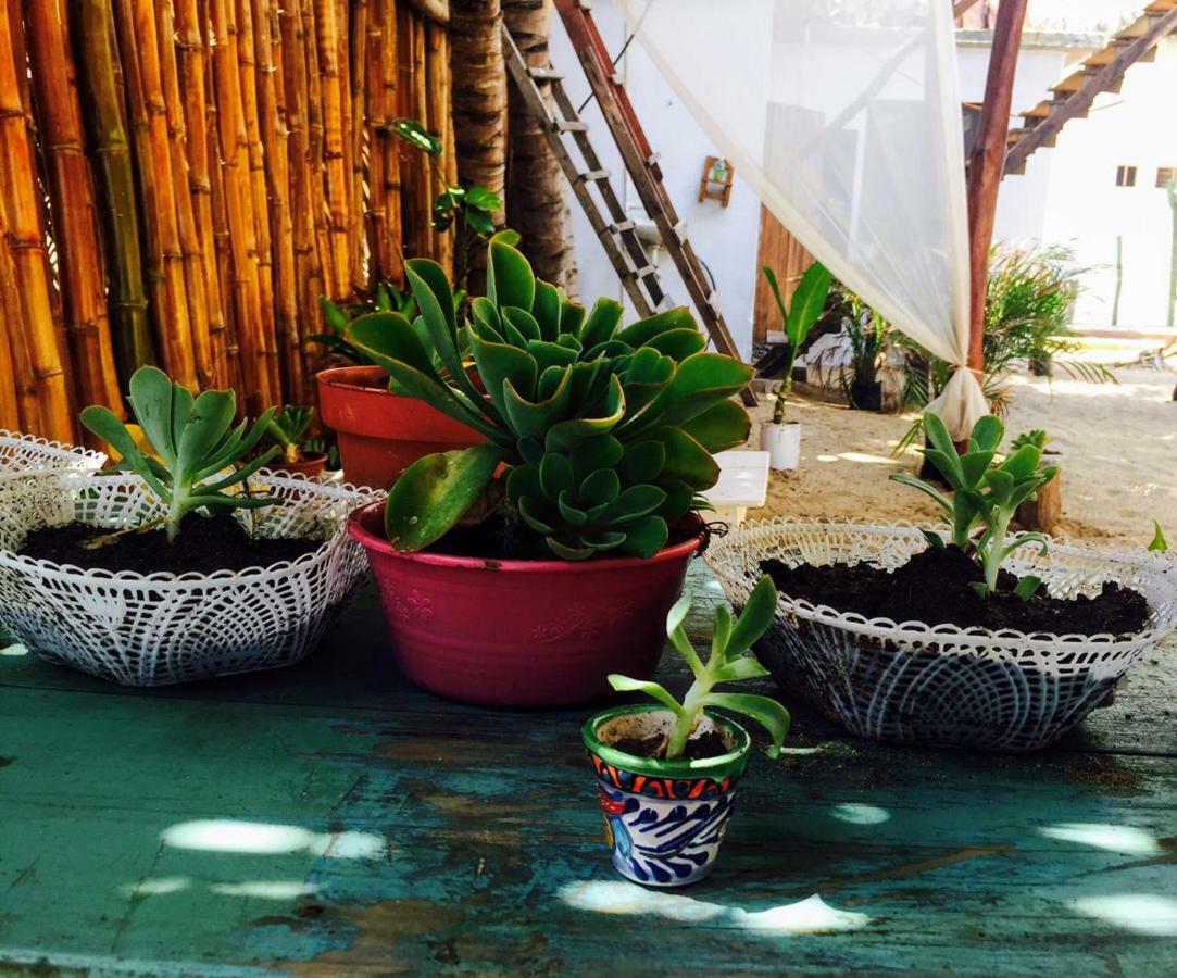 La Maxima & Lgbt Hotell Zipolite Eksteriør bilde